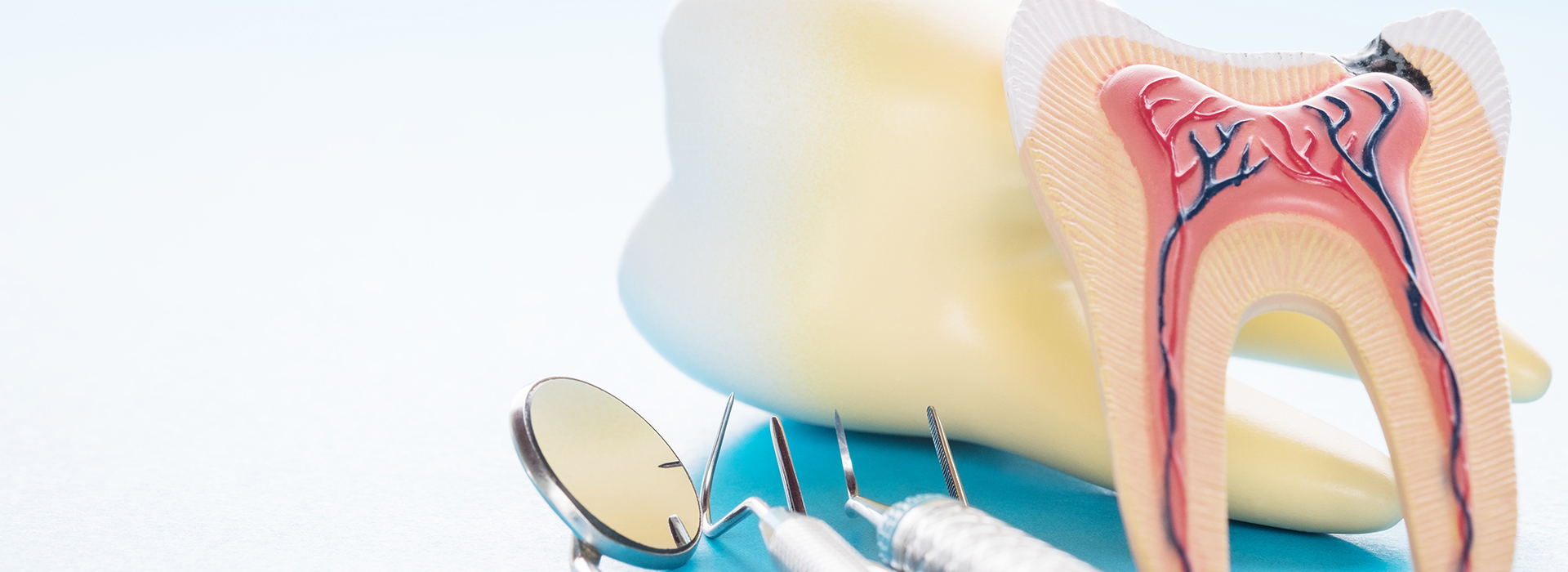 JK Dentistry | Dental Fillings, Veneers and Preventative Program